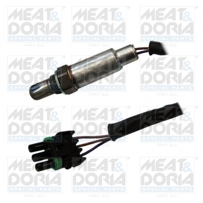 Oxygen Sensor